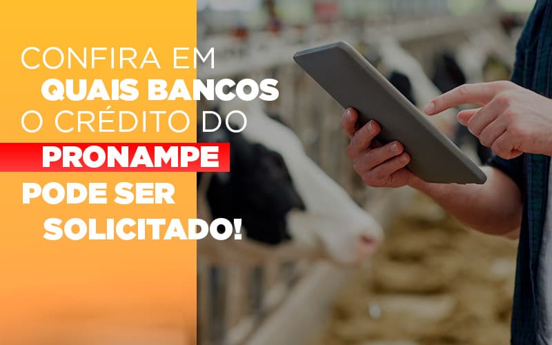 Confira Em Quais Bancos O Credito Pronampe Ja Pode Ser Solicitado - Contabilidade em Santo André -  São Paulo | SQUIPP - Consultoria e Assessoria Contabil Ltda